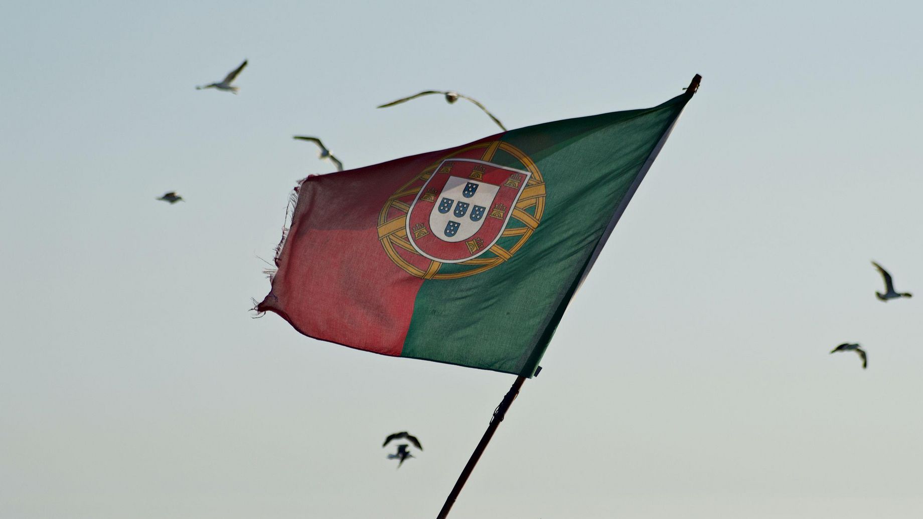 Photo by Pedro Santos on Unsplash