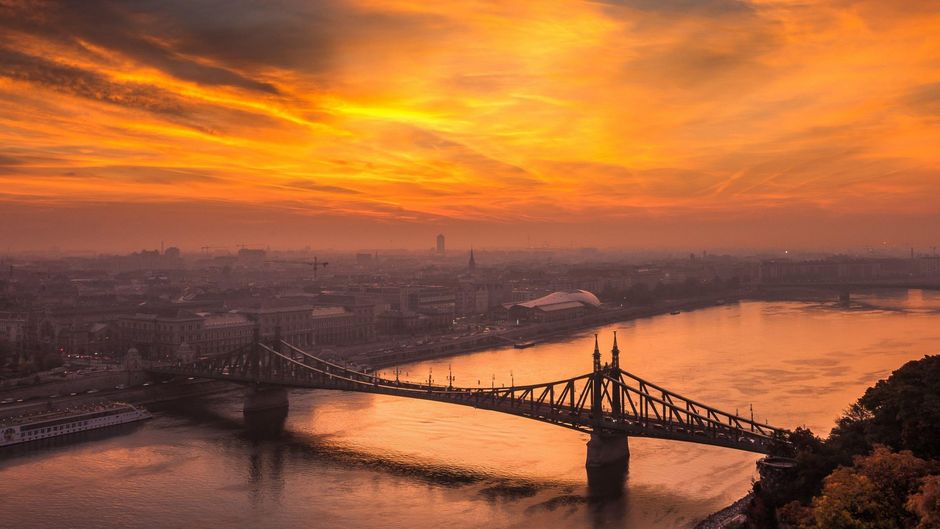 Photo by Daniel Olah on Unsplash