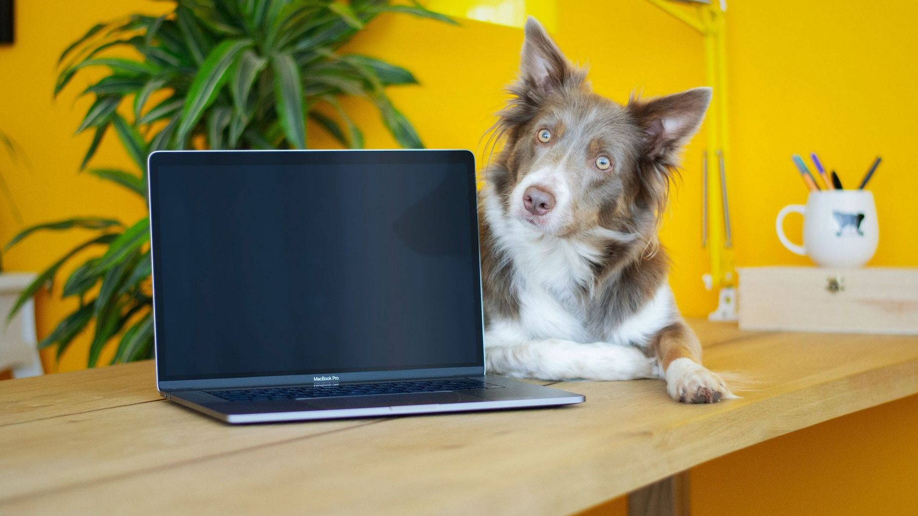 Photo de Ayla Verschueren sur Unsplash