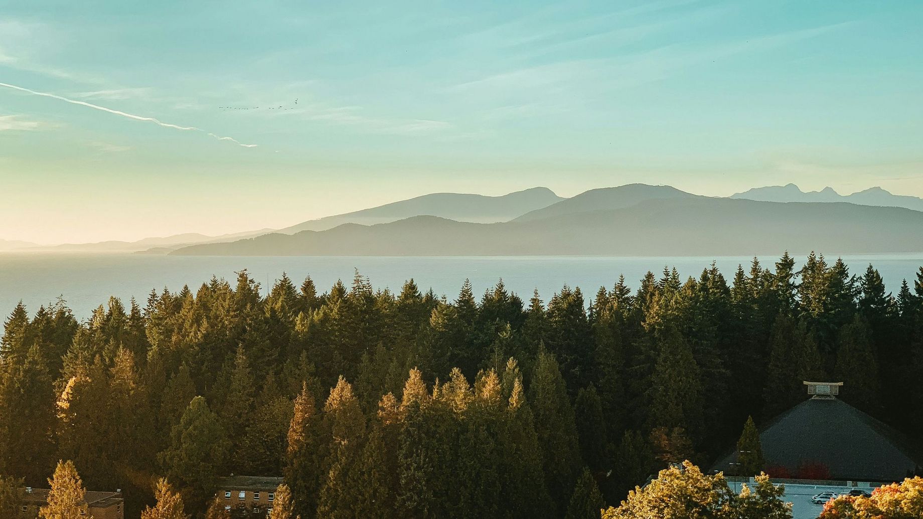 Photo de <a href="https://unsplash.com/fr/@adityachinchure?utm_source=unsplash&utm_medium=referral&utm_content=creditCopyText">Aditya Chinchure</a>sur <a href="https://unsplash.com/fr/photos/arbres-verts-sous-ciel-bleu-tfEdi3dEQsI?utm_source=unsplash&utm_medium=referral&utm_content=creditCopyText">Unsplash</a>       