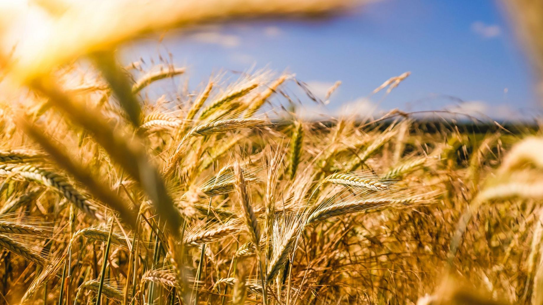 Photo by Raphael Rychetsky on Unsplash