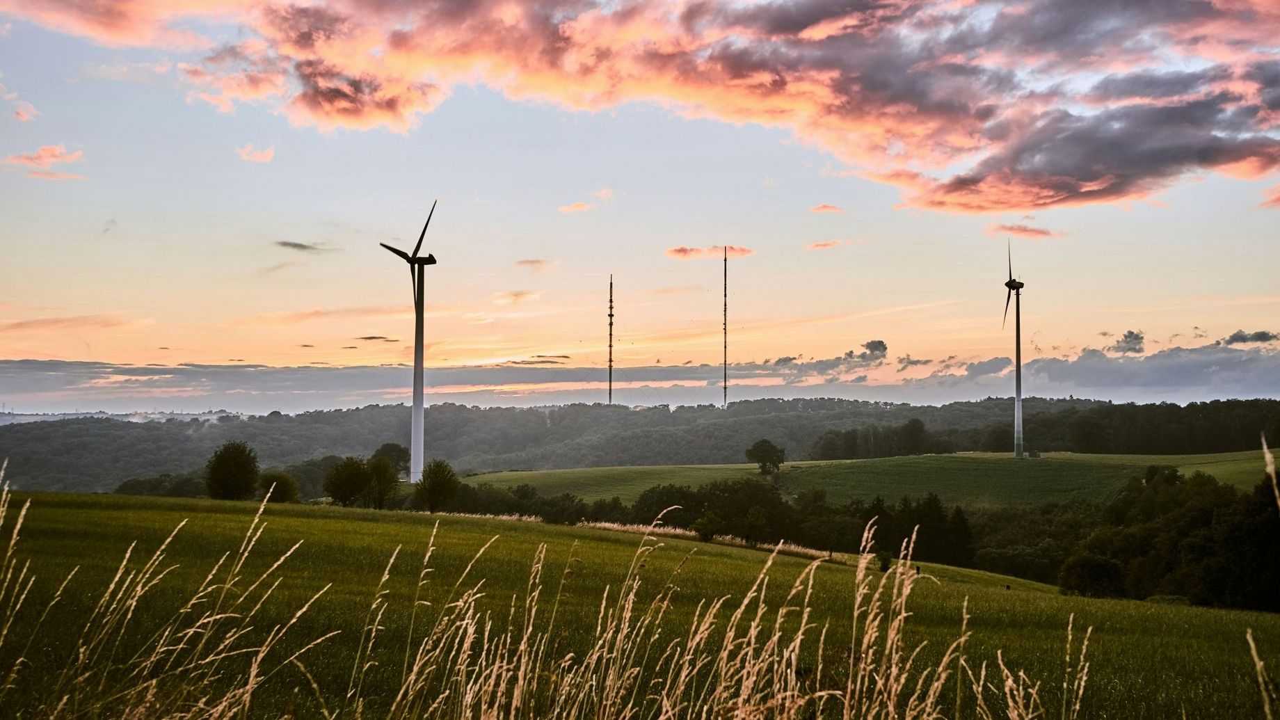 Photo de Bastian Pudill sur Unsplash