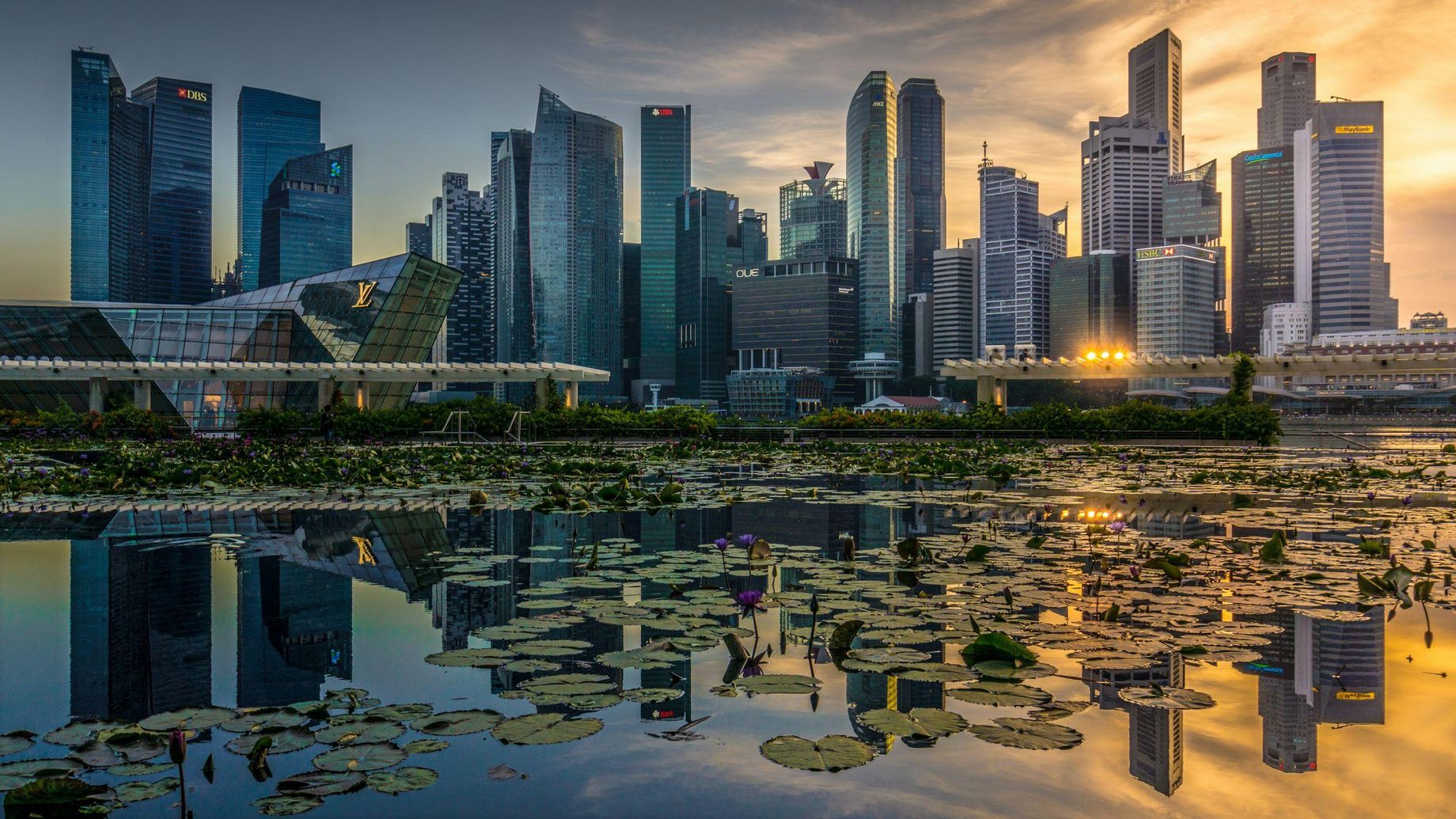 Photo by Mike Enerio on Unsplash