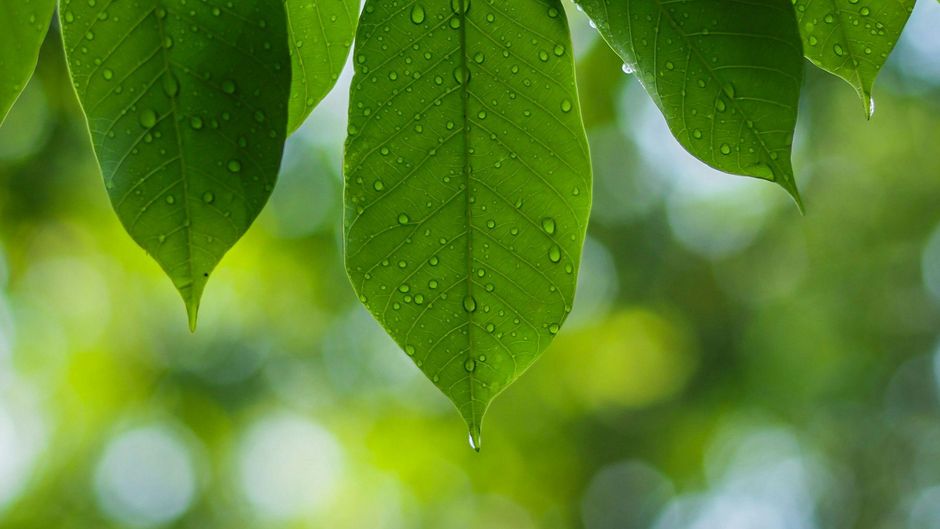 Photo de Vengadesh Sago sur Unsplash