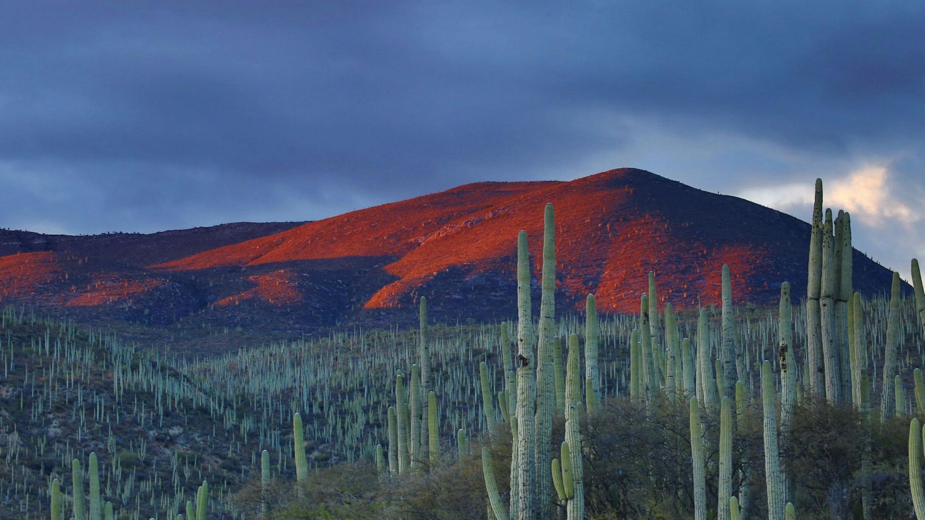 Photo de Andrés Sanz sur Unsplash