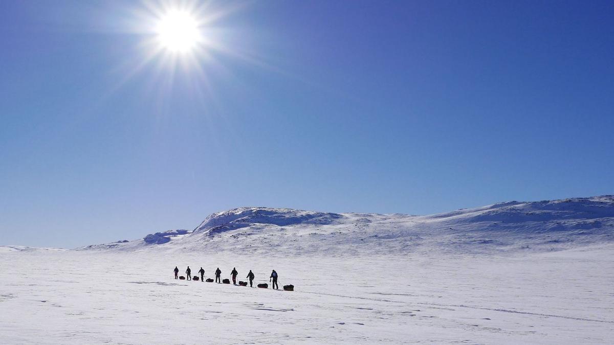 Photo by Henk-Jan Geel on Unsplash