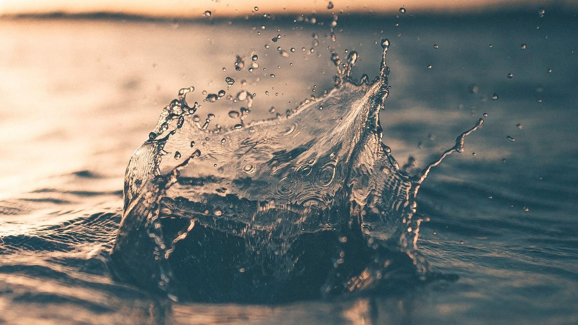 Photo by Alex Perez on Unsplash