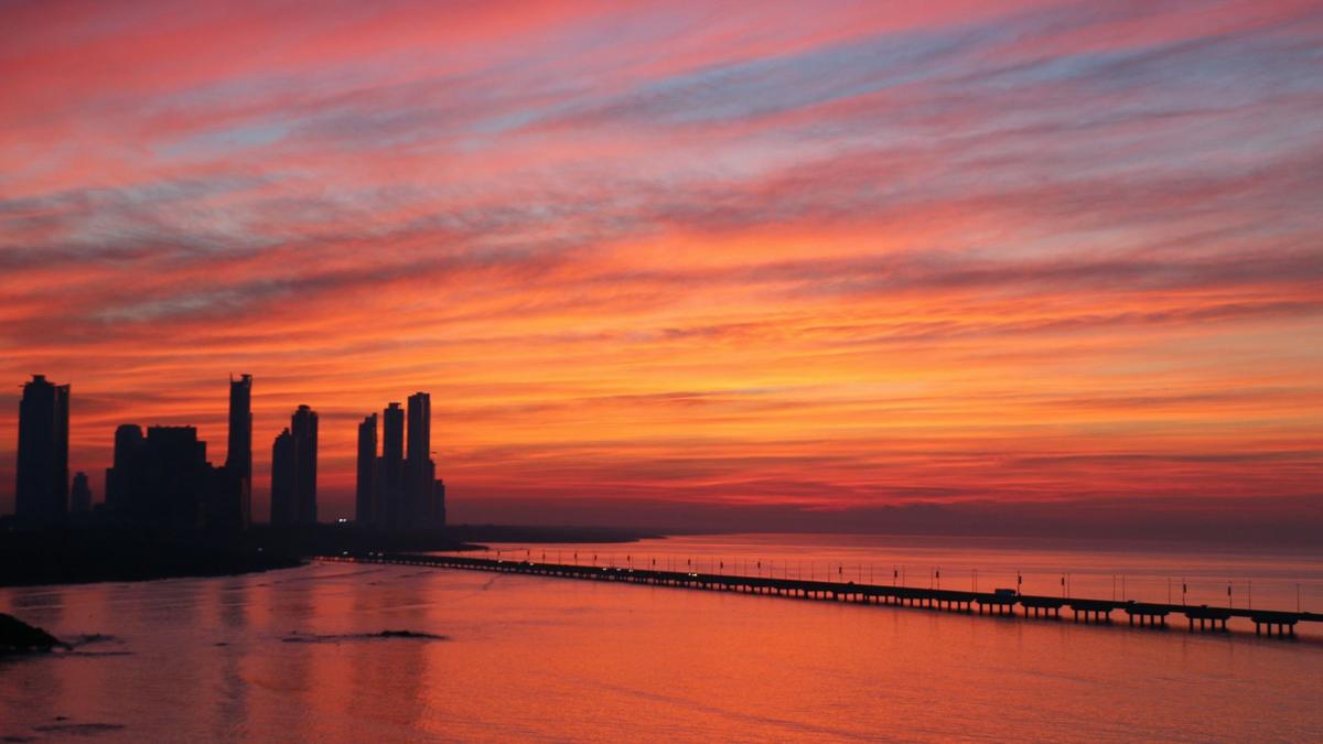 Photo by Alejandro Carvallo on Unsplash