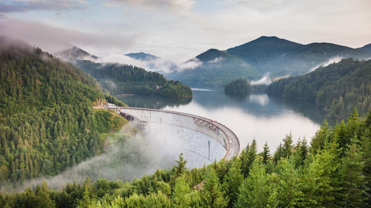 Photo by paul mocan on Unsplash