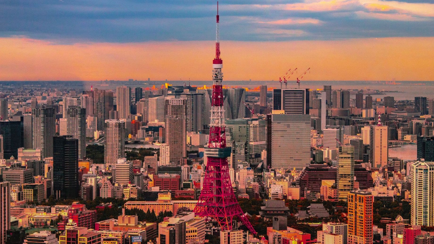 Photo by ALEXANDRE LALLEMAND on Unsplash