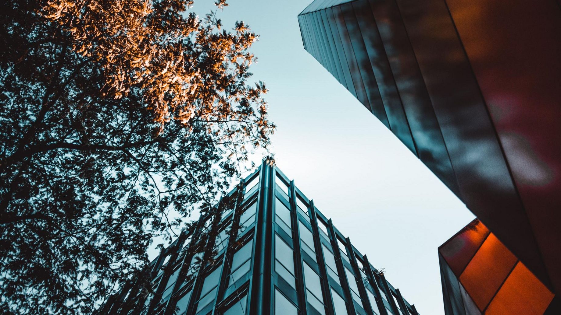 Photo de Louis provenant de Pexels