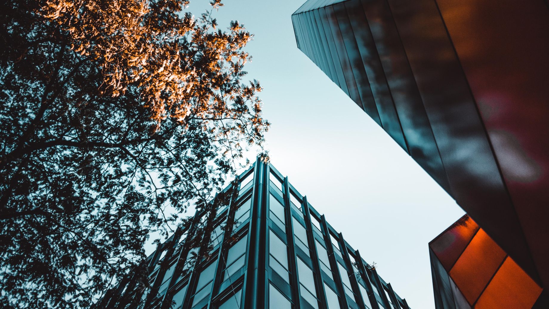 Photo de Louis provenant de Pexels