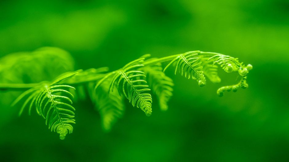 Photo de Bernardo Lorena Ponte sur Unsplash
