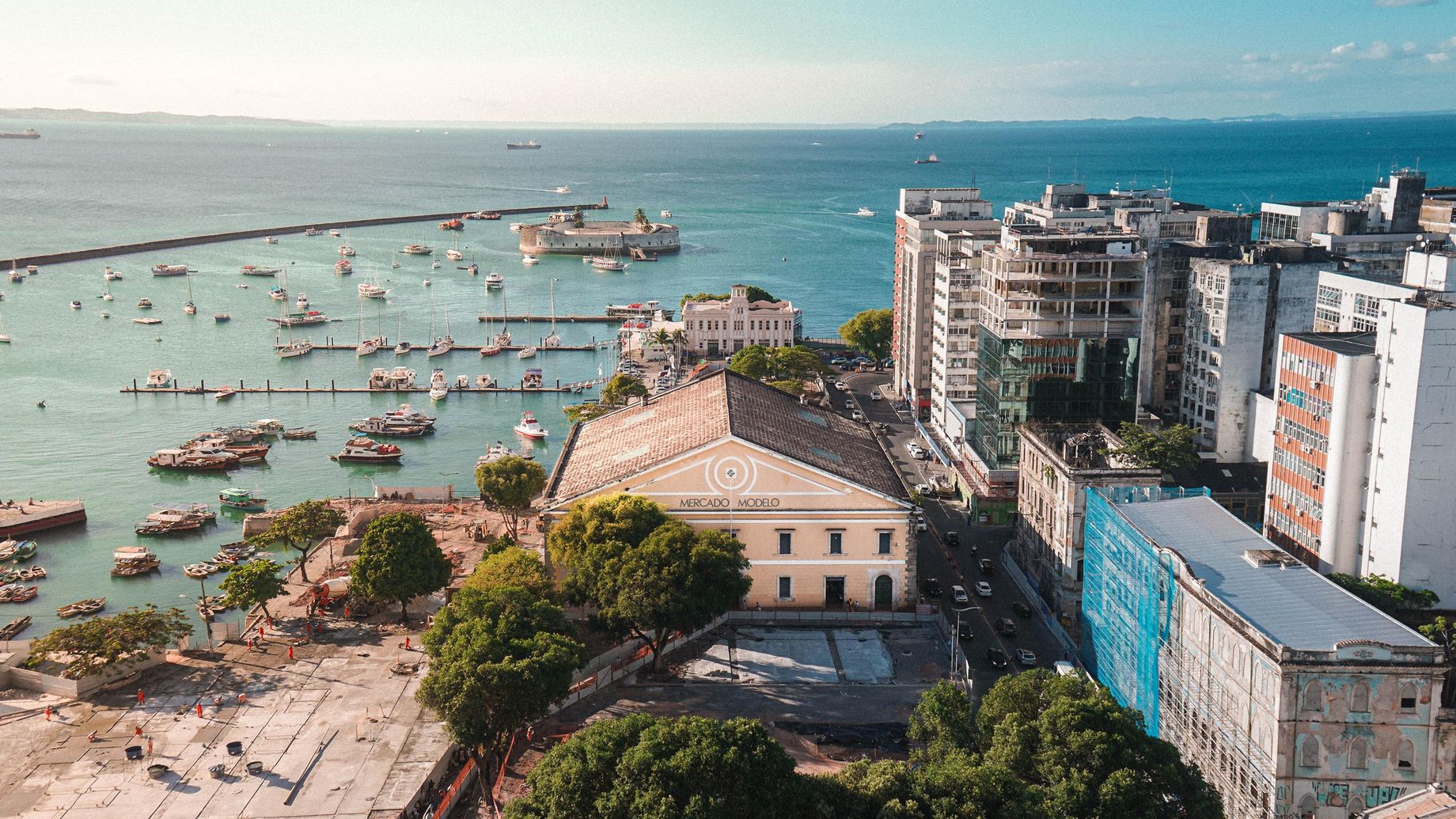 Photo by Matheus Seiji Goto on Unsplash