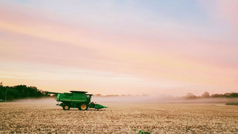 Photo de Colin Maynardsur Unsplash