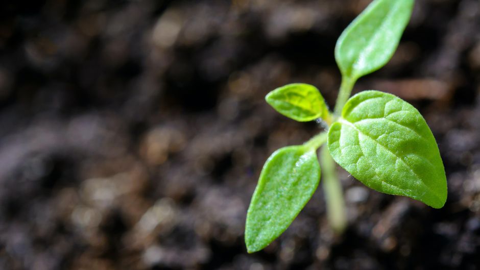 Photo de PhotoMIX Company provenant de Pexels