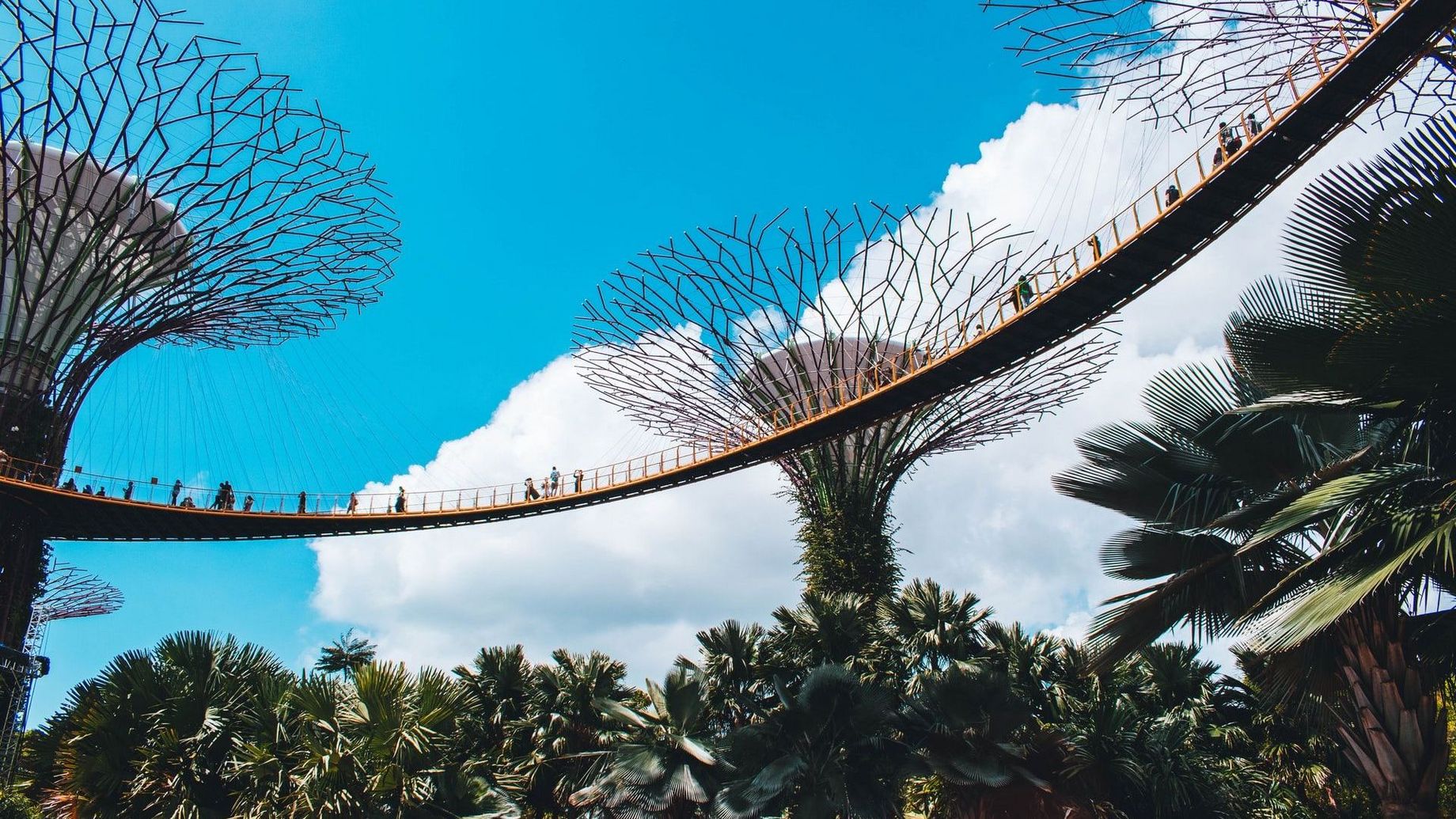 Thanks to Roméo A. for sharing their work on Unsplash.