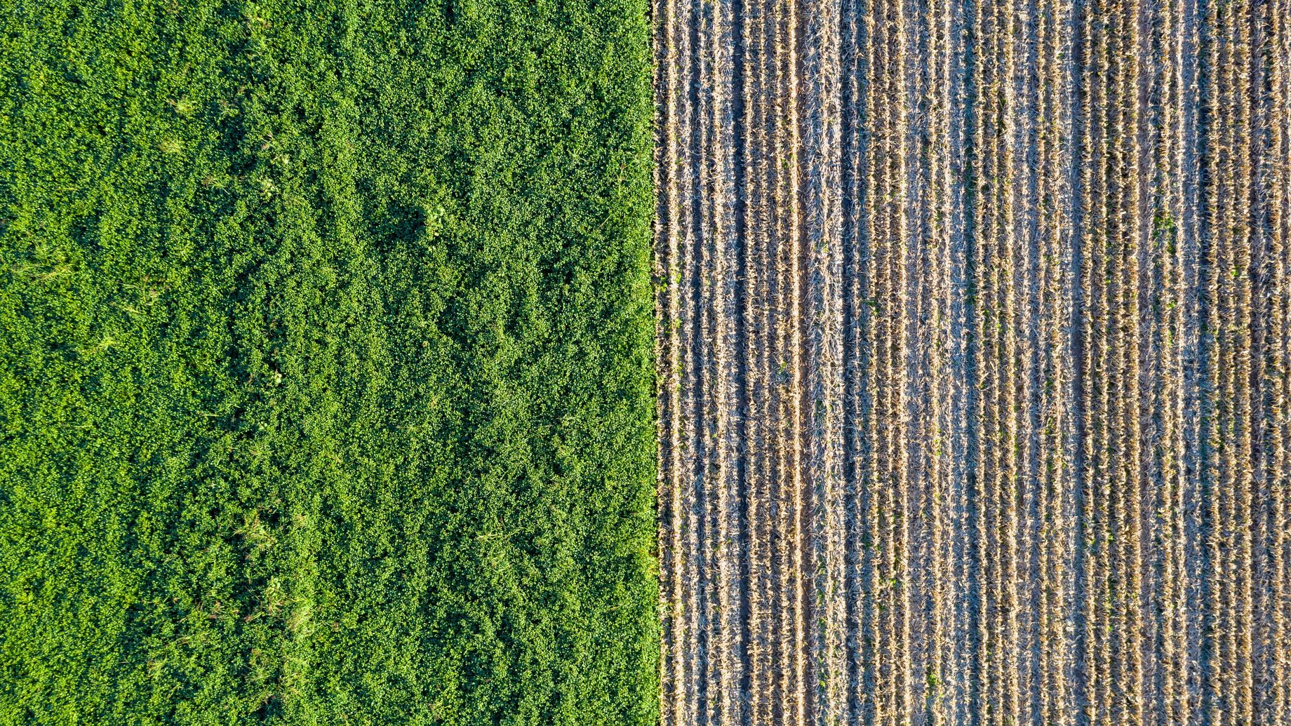 Photo de Mauro Tandoi sur Unsplash