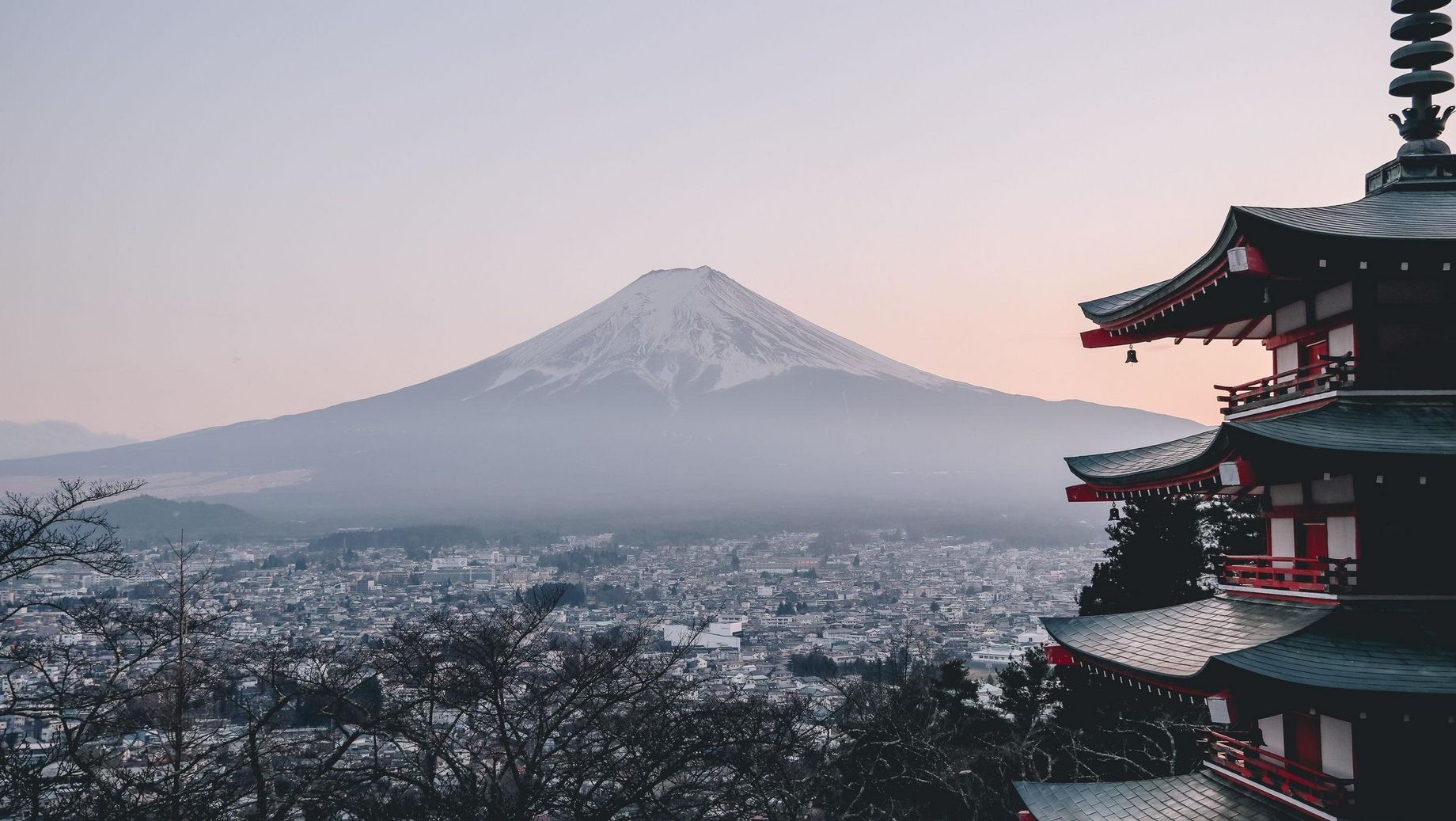 Photo by Manuel Cosentino on Unsplash