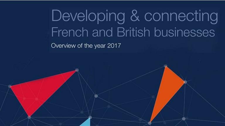 rapport_annuel_ccfgb_2017