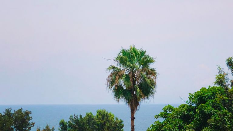 Photo by Jordy MATABARO on Unsplash