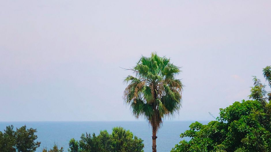 Photo by Jordy MATABARO on Unsplash
