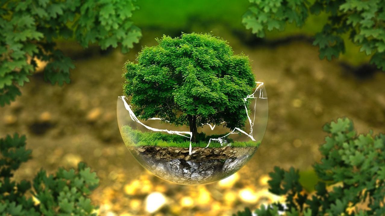 Image par AndreasAux de Pixabay