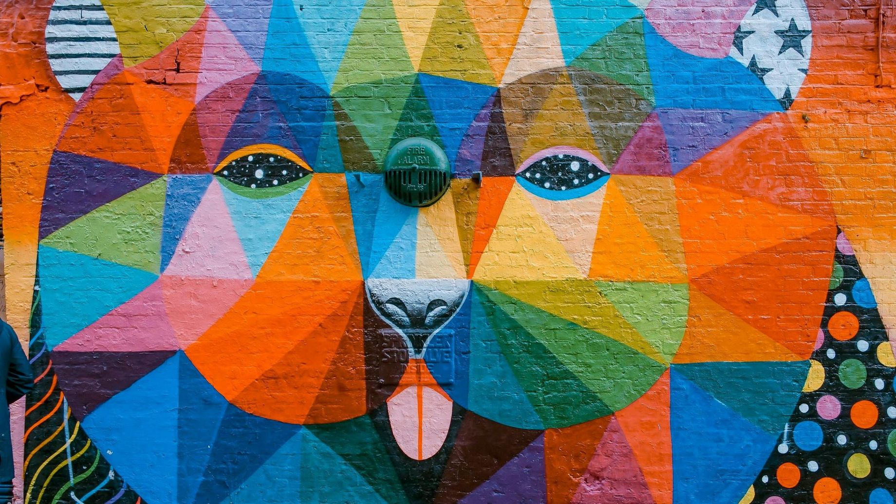 Photo de Toa Heftiba Şinca sur Pexels