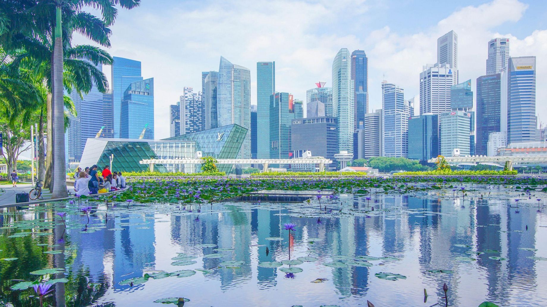 Photo by Stephanie Yeh on Unsplash
