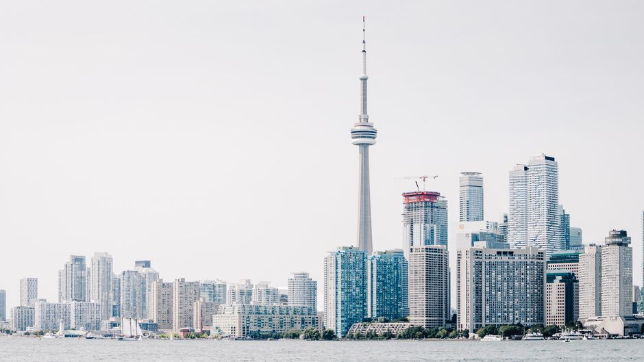 Photo by Scott Webb on Unsplash