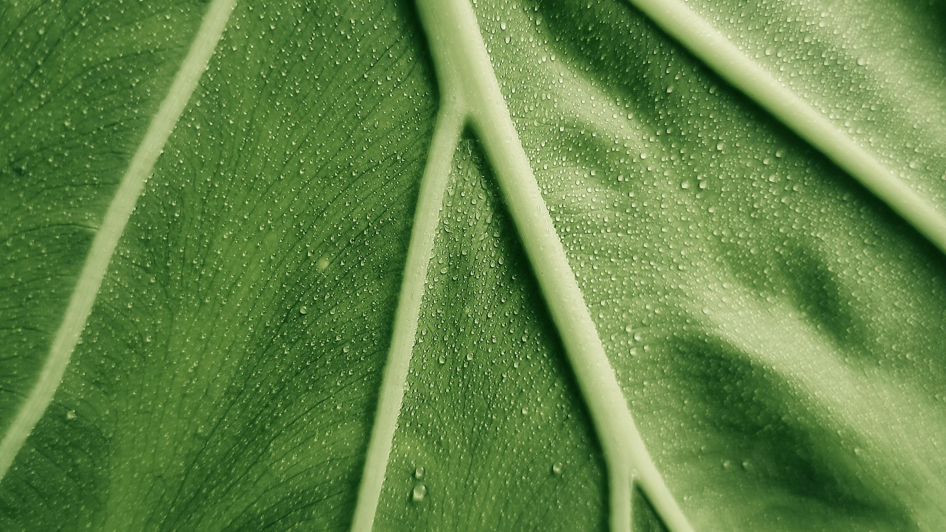 Photo by Sneaky Head on Unsplash