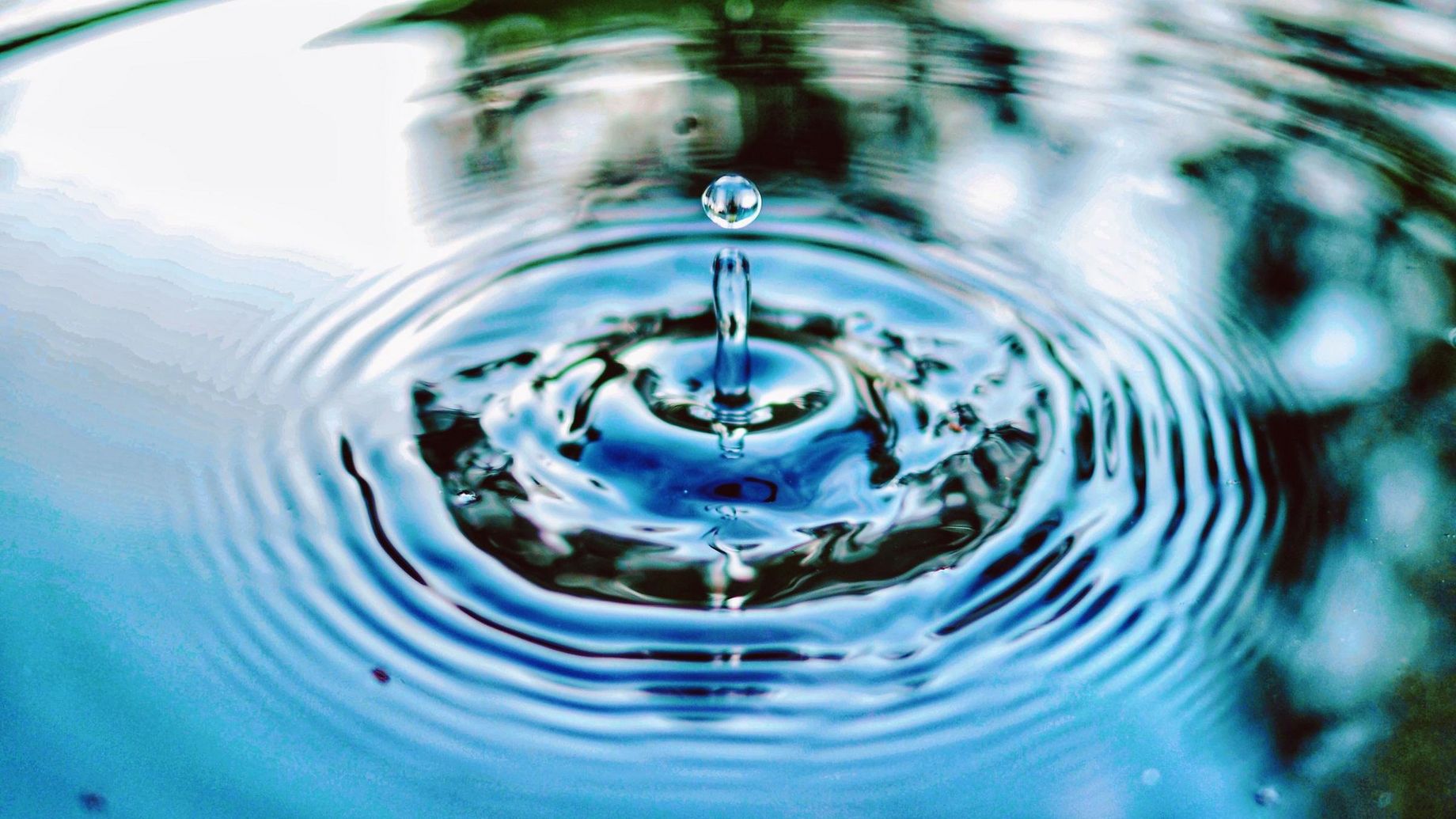 Photo by Jimmy Chang on Unsplash