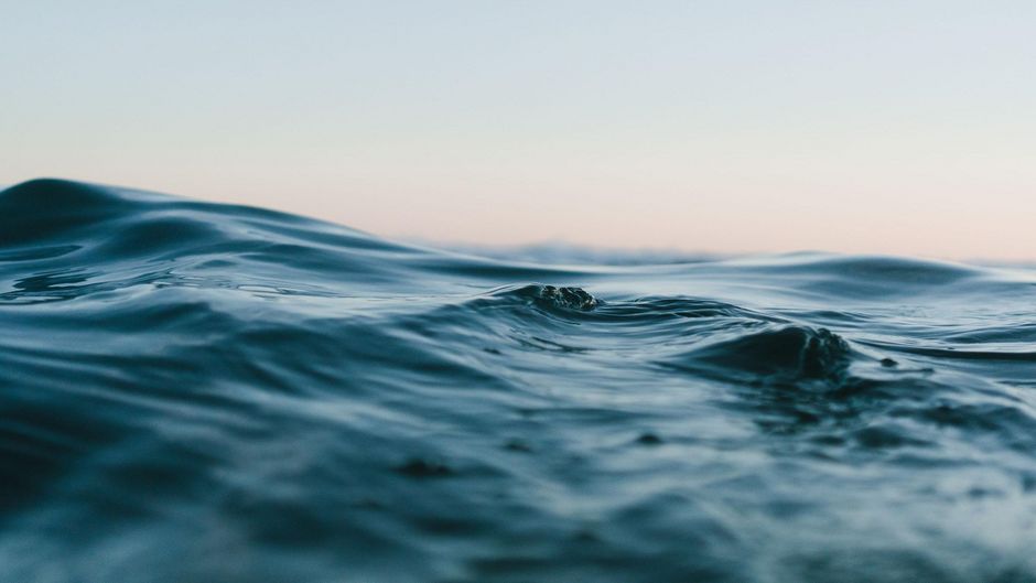 Photo de Matt Hardy provenant de Pexels